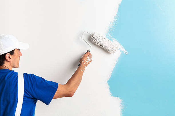 SAD ADVANCE Professional Painter